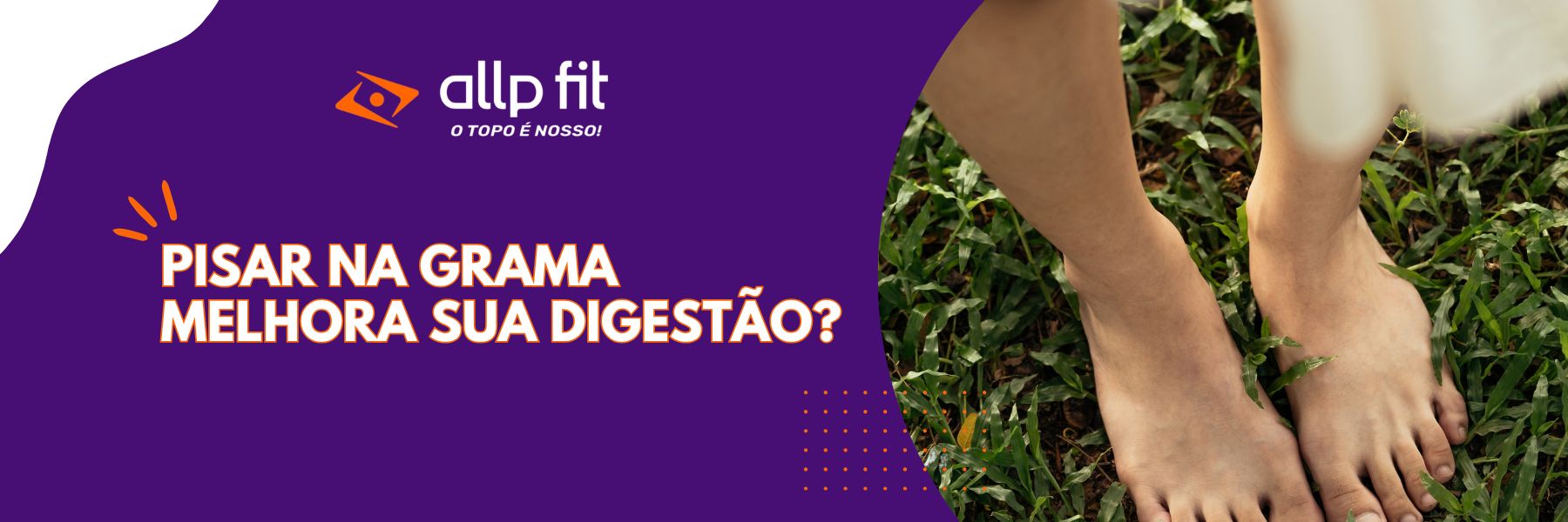 Como os chás ajudam no controle da ansiedade e do apetite